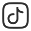 TikTok icon